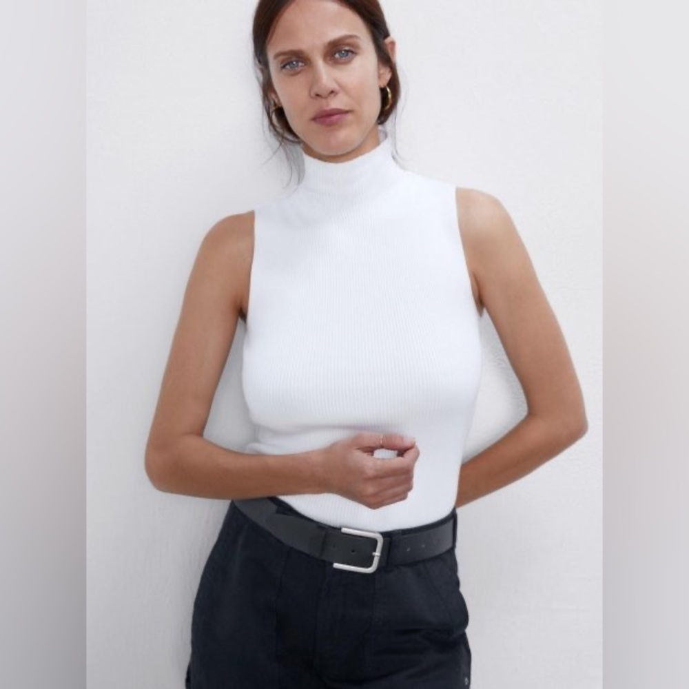Zara Knit Turtleneck